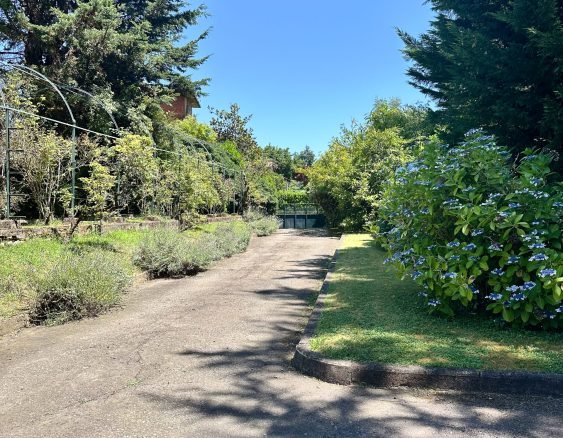 BIELLA VIA DELL'ACQUA-1611