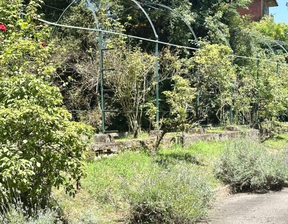 BIELLA VIA DELL'ACQUA-1613