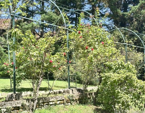 BIELLA VIA DELL'ACQUA-1615