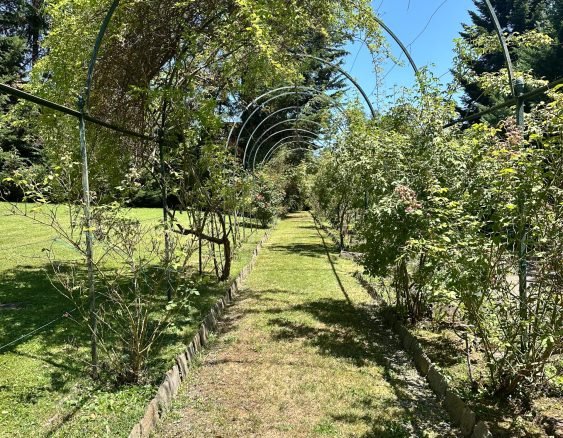 BIELLA VIA DELL'ACQUA-1617