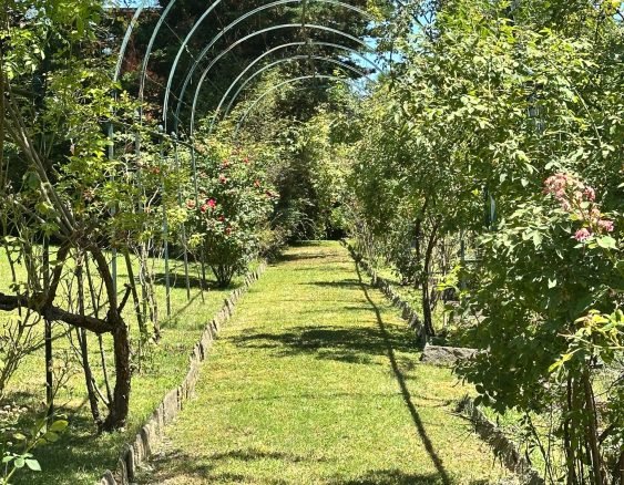 BIELLA VIA DELL'ACQUA-1618