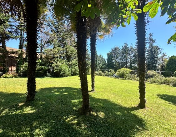 BIELLA VIA DELL'ACQUA-1620