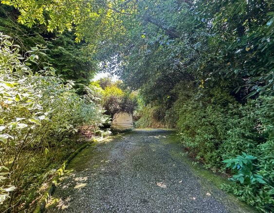 BIELLA VIA DELL'ACQUA-1668