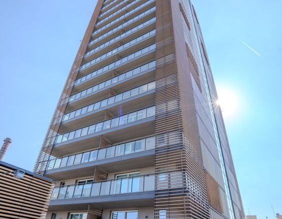 DSC09957