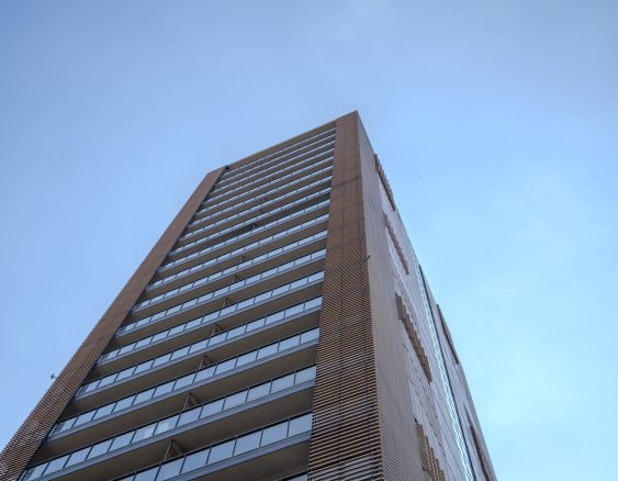 DSC09958