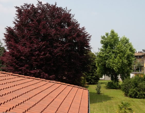VILLA SEVESO DAL TETTO-3283
