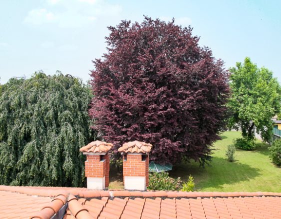 VILLA SEVESO DAL TETTO-3288