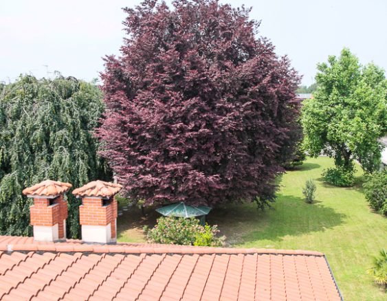 VILLA SEVESO DAL TETTO-3291