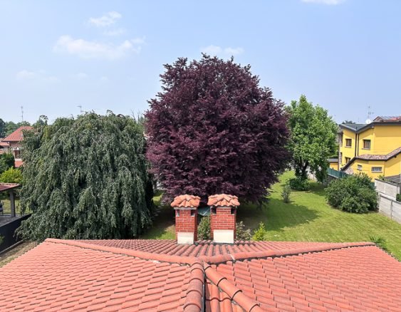 VILLA SEVESO VEGETAZIONE DAL TETTO BEST-0702