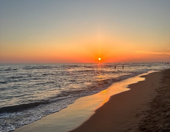 VILLAGGIO TOGNAZZI_VIA LAGO DI NEMI_2025-211