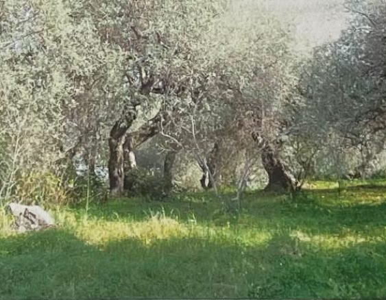 cefalu mariadagostino progetti-6